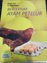 Beternak Ayam Petelur