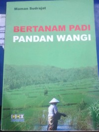 Bertanam Padi Pandan Wangi