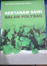 Bertanam Sawi Dalam Polybag